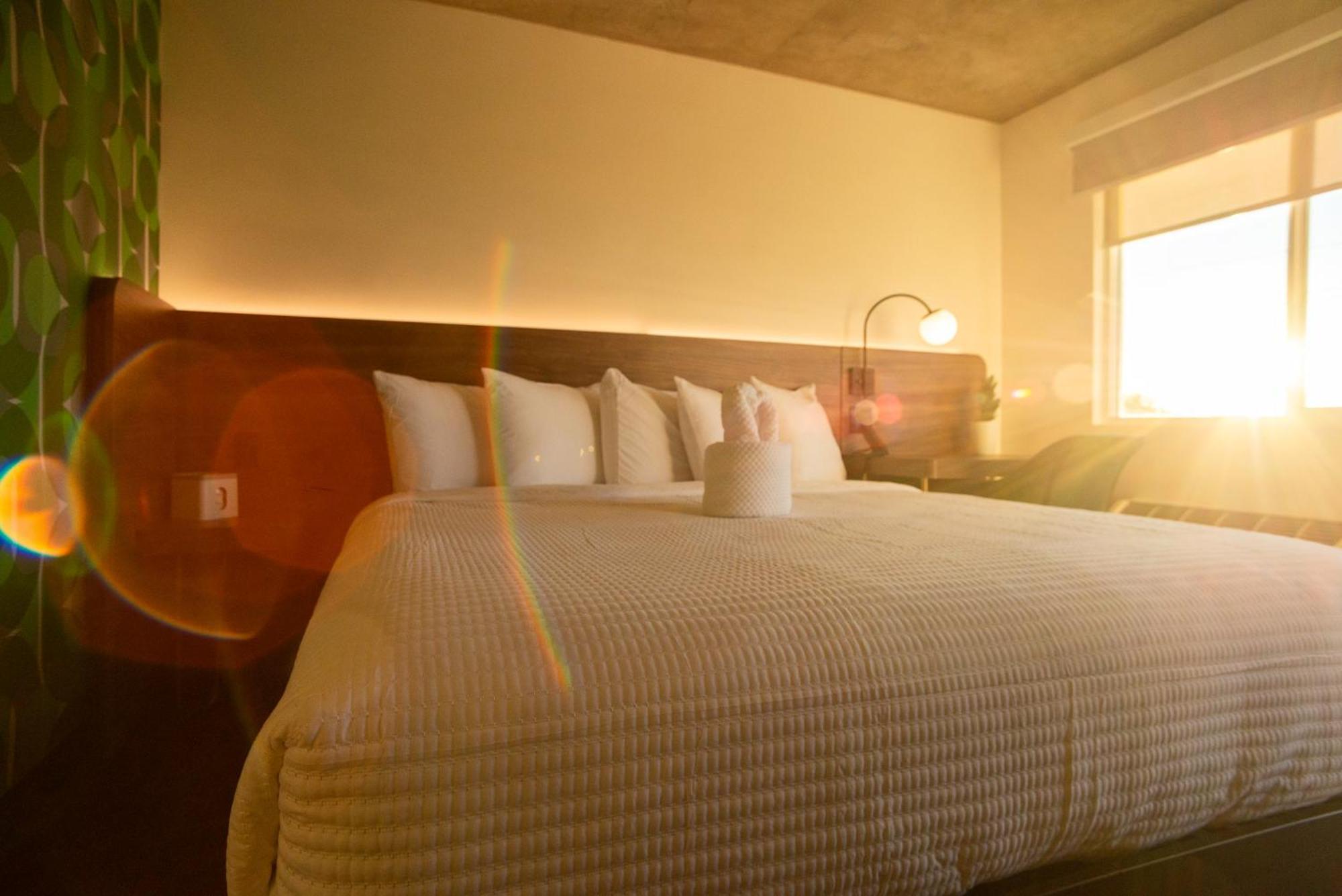 The Alice Hotel توسن المظهر الخارجي الصورة