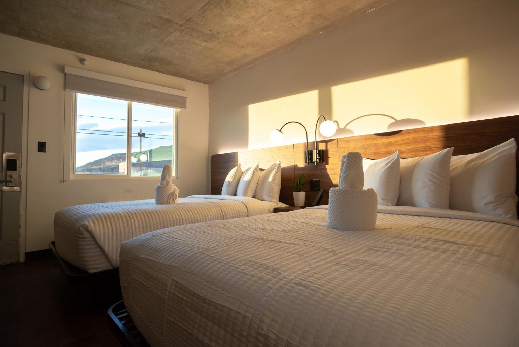The Alice Hotel توسن المظهر الخارجي الصورة