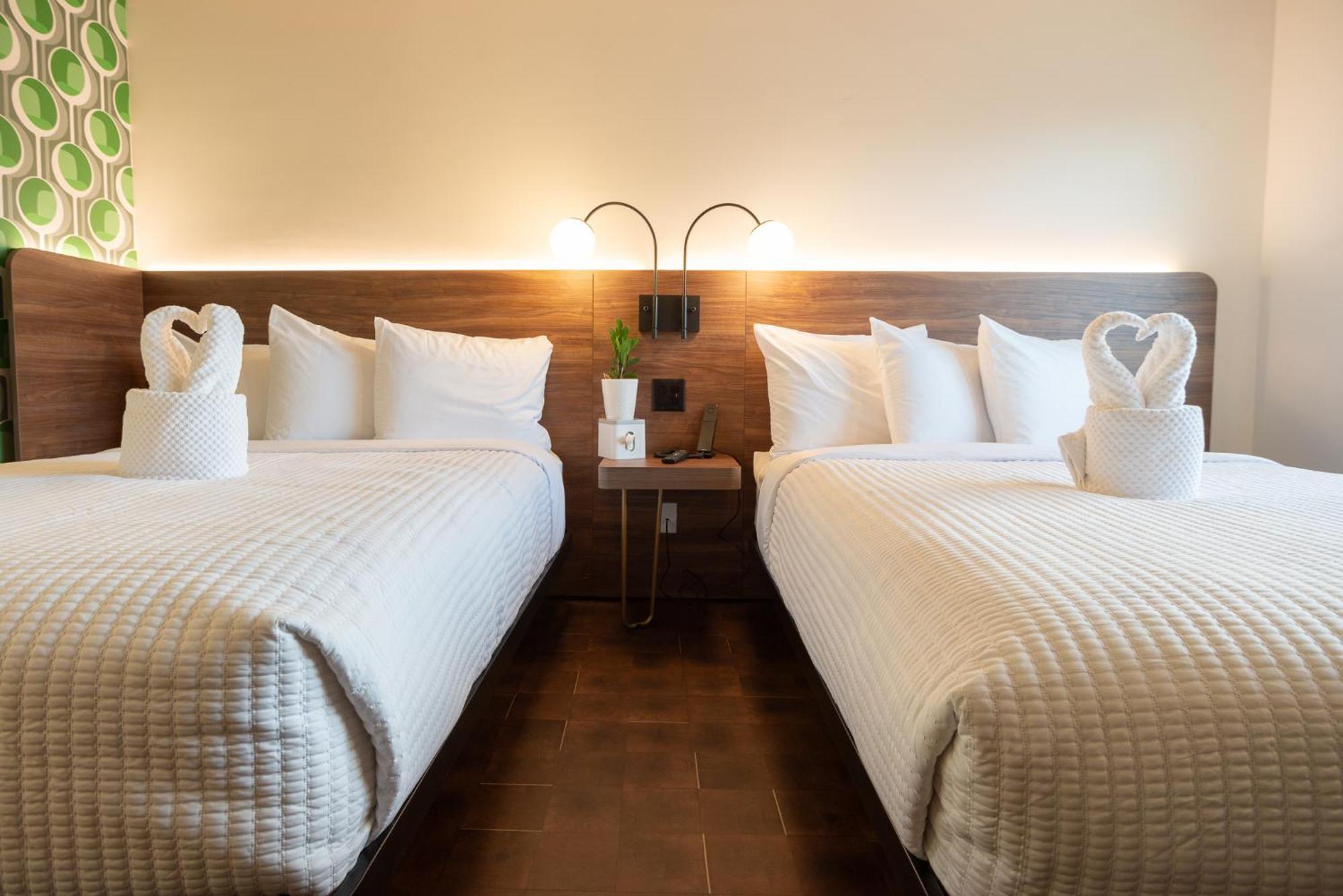 The Alice Hotel توسن المظهر الخارجي الصورة